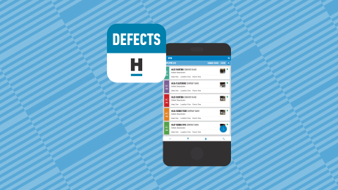 HB-C-Defects.png